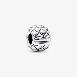 (afbeelding voor) Pandora Nagelsteen Clip Charm - 792746C00
