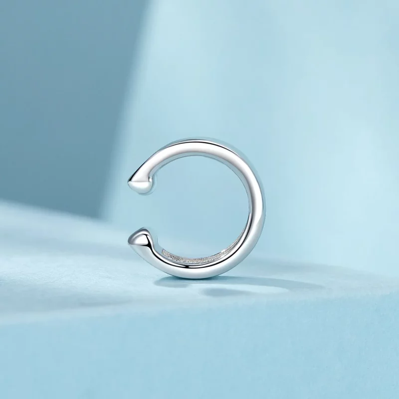 (afbeelding voor) PANDORA Stijl Metalen Oorklem - SCE1691 - Bekijken 3