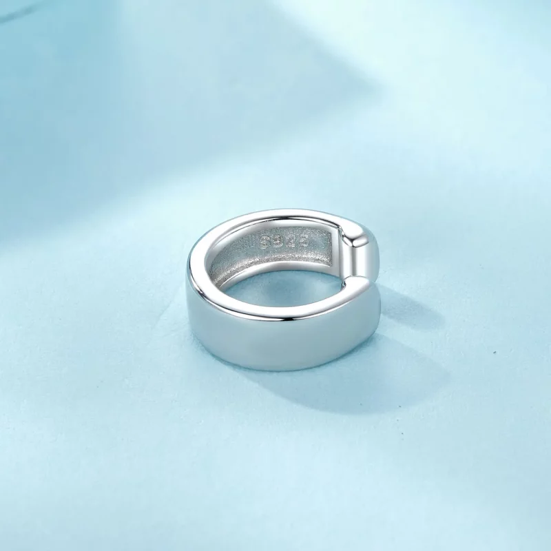 (afbeelding voor) PANDORA Stijl Metalen Oorklem - SCE1691 - Bekijken 4