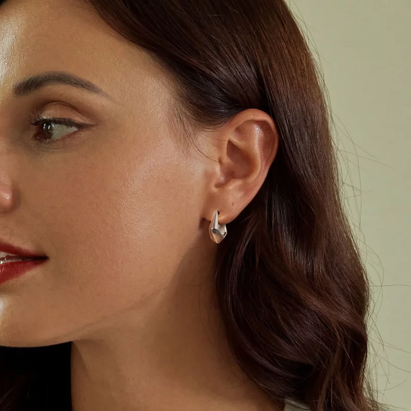 (afbeelding voor) PANDORA Stijl Exquisite Geometrische Oorbellen - SCE1704 - Bekijken 6