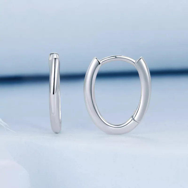 (afbeelding voor) PANDORA Stijl Ovale oorbellen - BSE1015-A - Bekijken 2