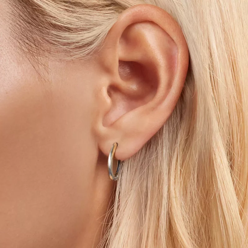 (afbeelding voor) PANDORA Stijl Ovale oorbellen - BSE1015-A - Bekijken 5