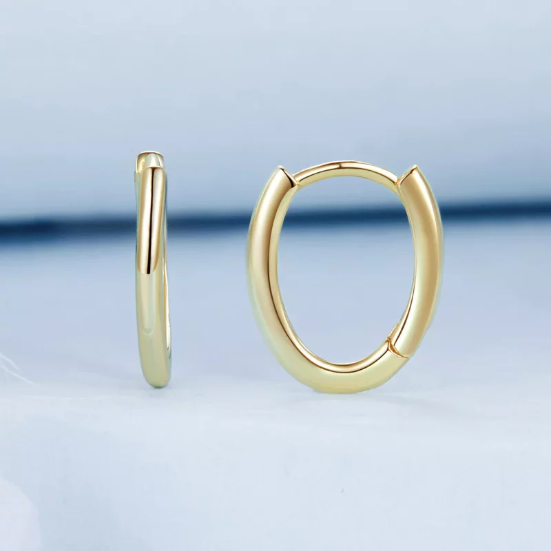 (afbeelding voor) PANDORA Stijl Ovale oorbellen - BSE1015-B - Bekijken 2