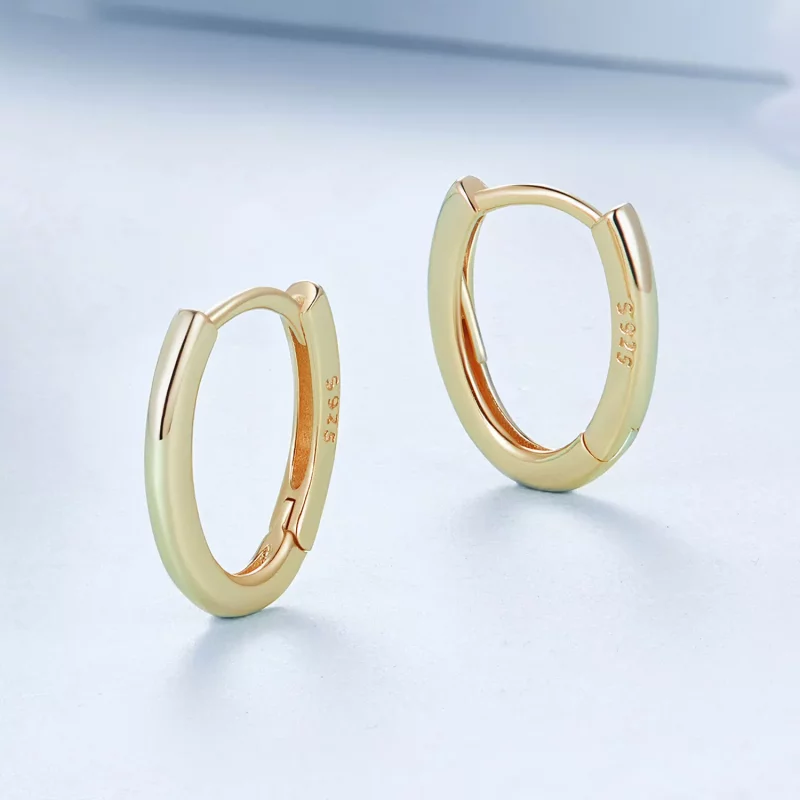 (afbeelding voor) PANDORA Stijl Ovale oorbellen - BSE1015-B - Bekijken 3