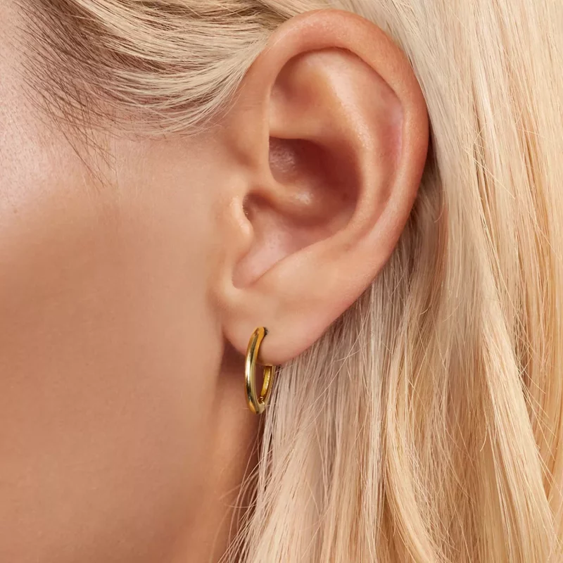 (afbeelding voor) PANDORA Stijl Ovale oorbellen - BSE1015-B - Bekijken 5