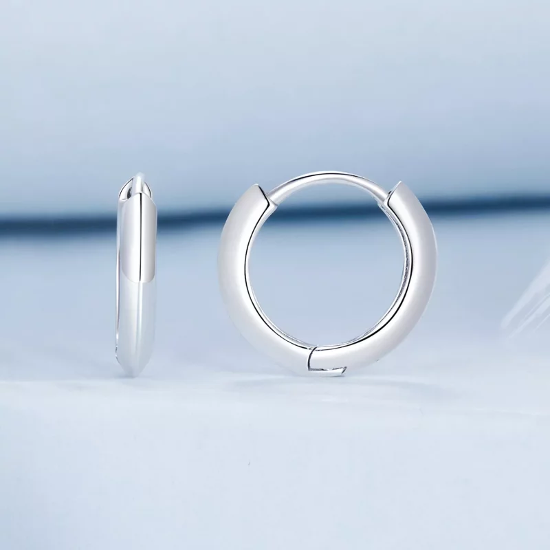 (afbeelding voor) PANDORA Stijl Klassieke sterling zilveren oorbellen - BSE1016 - Bekijken 2