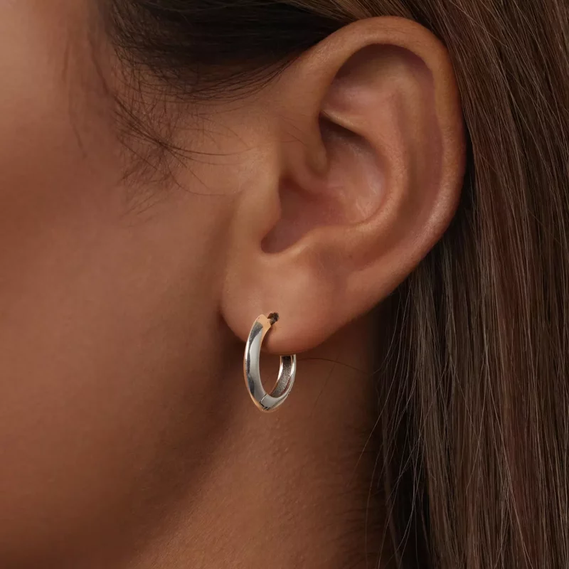 (afbeelding voor) PANDORA Stijl Klassieke sterling zilveren oorbellen - BSE1016 - Bekijken 6