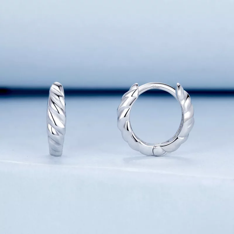 (afbeelding voor) PANDORA Stijl Metalen twist oorbellen - BSE1024-S - Bekijken 2