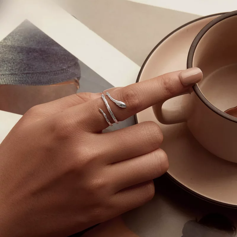 (afbeelding voor) PANDORA Stijl Slang Open Ring - BSR555-E - Bekijken 5