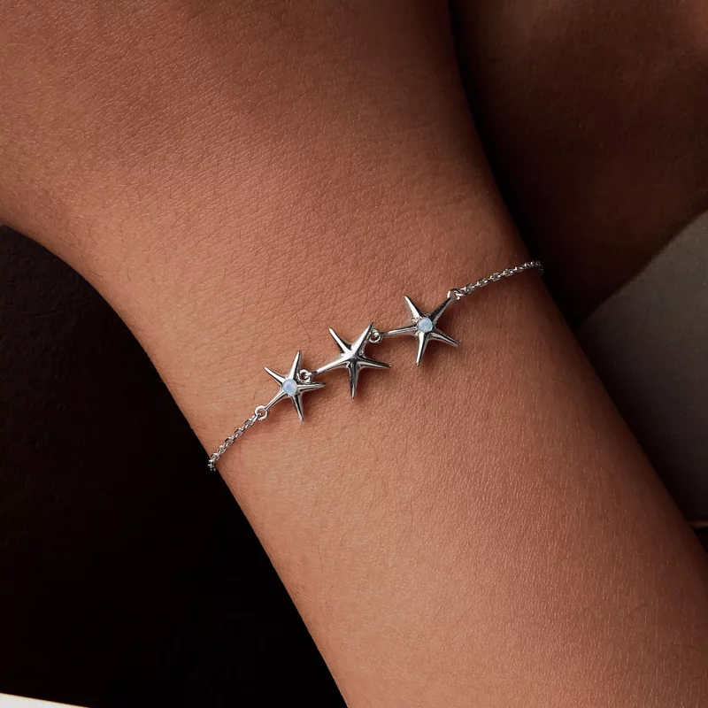 (afbeelding voor) PANDORA Stijl Zeester armband - SCB275 - Bekijken 8