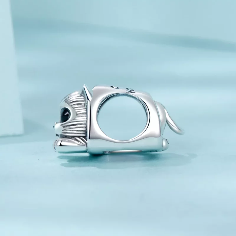 (afbeelding voor) PANDORA Stijl Gezellige Kattenhuis Charme - SCC2797 - Bekijken 3