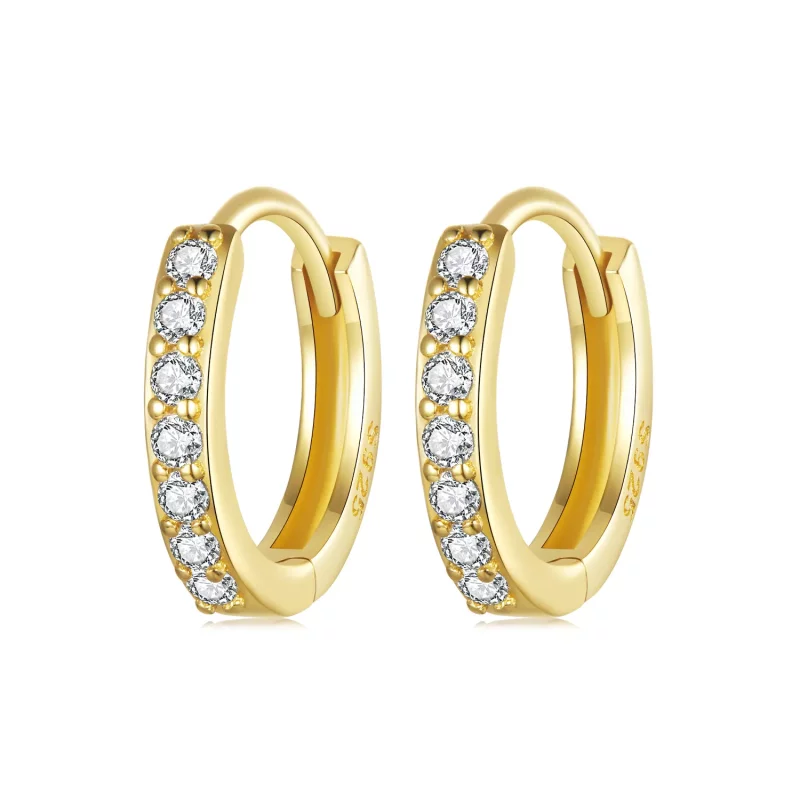 (afbeelding voor) PANDORA Stijl Eenvoudige sterling zilveren oorbellen - BSE1060-BS