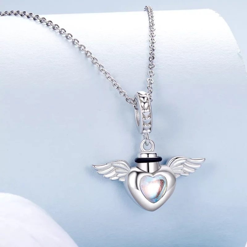 (afbeelding voor) PANDORA Stijl Huisdier urn gedenkdoos hanger - BSC1036 - Bekijken 2