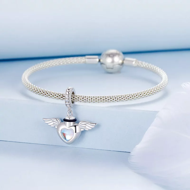 (afbeelding voor) PANDORA Stijl Huisdier urn gedenkdoos hanger - BSC1036 - Bekijken 3