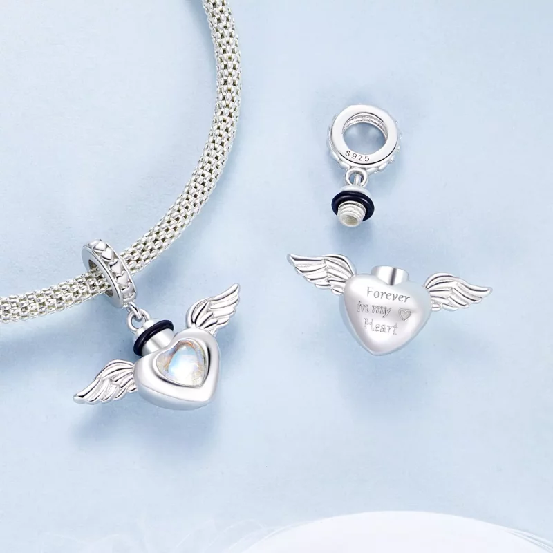 (afbeelding voor) PANDORA Stijl Huisdier urn gedenkdoos hanger - BSC1036 - Bekijken 4