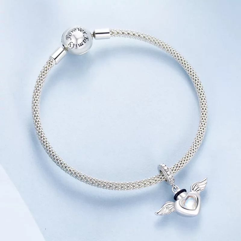(afbeelding voor) PANDORA Stijl Huisdier urn gedenkdoos hanger - BSC1036 - Bekijken 5