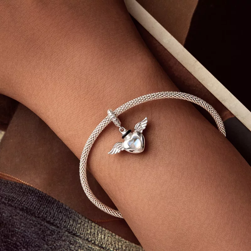 (afbeelding voor) PANDORA Stijl Huisdier urn gedenkdoos hanger - BSC1036 - Bekijken 6