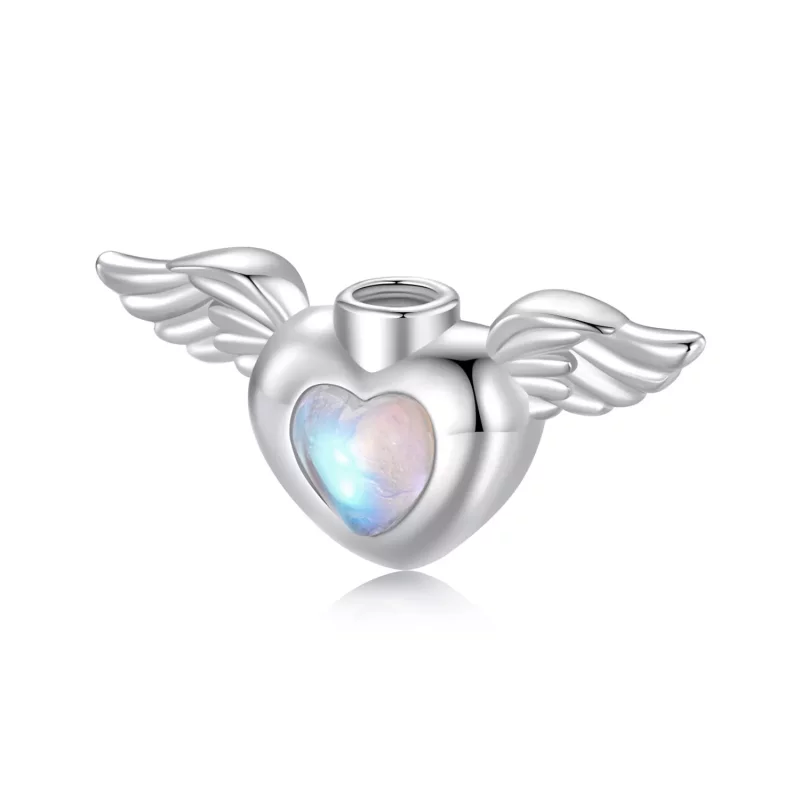 (afbeelding voor) PANDORA Stijl Huisdier urn gedenkdoos hanger - BSC1036 - Bekijken 8