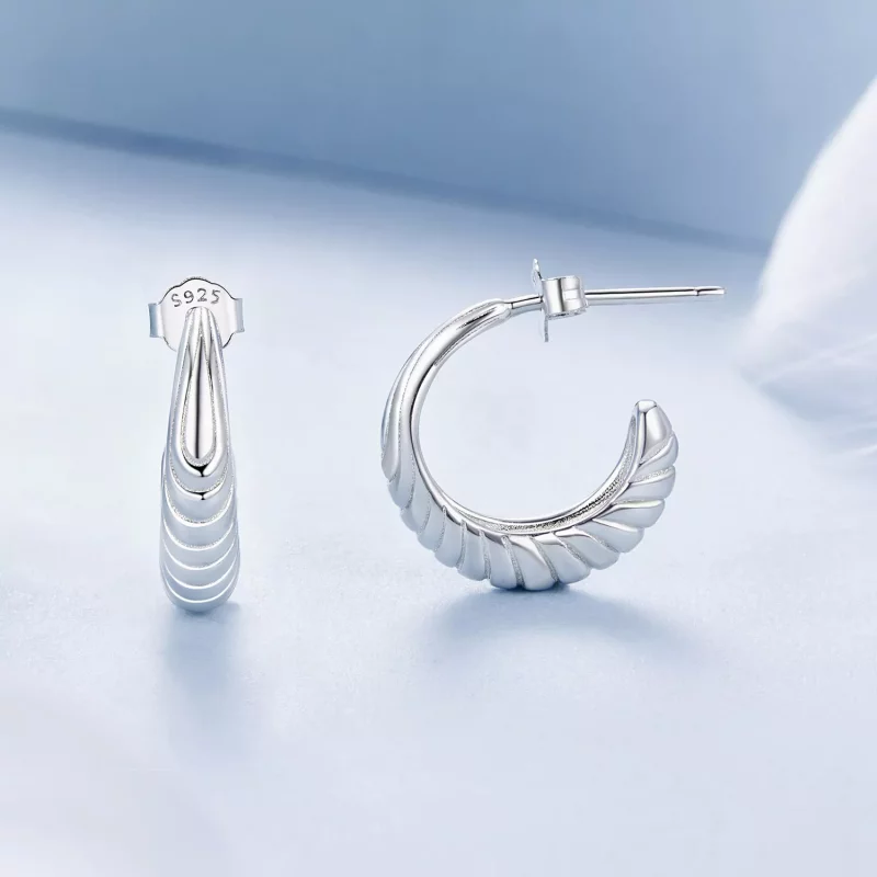 (afbeelding voor) PANDORA Stijl Temperament textuur oorbellen - BSE1058 - Bekijken 4