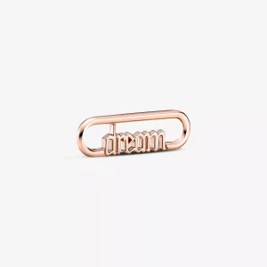 (afbeelding voor) Pandora ME Styling Dream Word Link - 789687C00