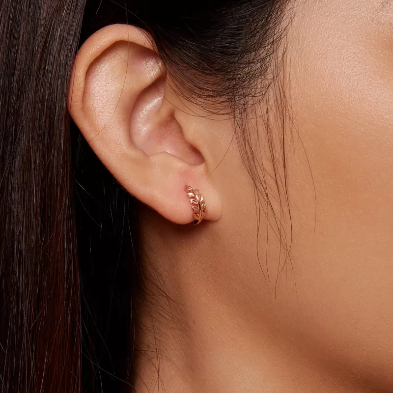 (afbeelding voor) Pandora Stijl Bladeren Hoops Oorbellen - BSE500-C - Bekijken 7