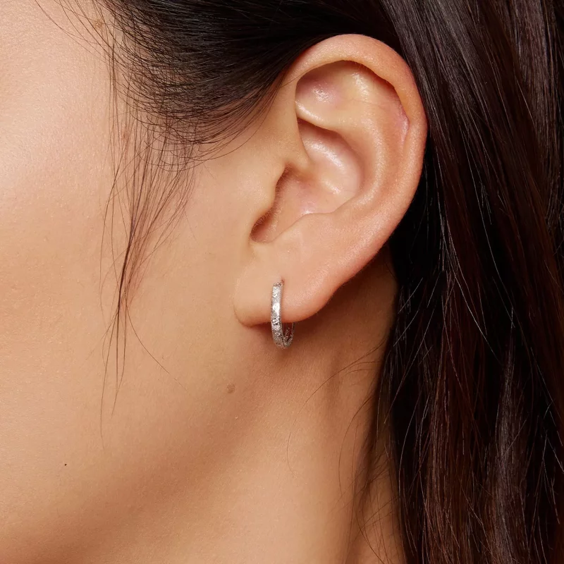 (afbeelding voor) Pandora Stijl Geometrische Flash Hoops Oorbellen - BSE848 - Bekijken 5
