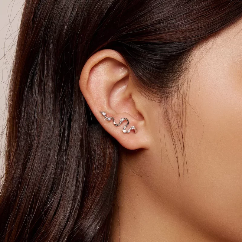 (afbeelding voor) Pandora stijl Textuurlijnen Stud Oorbellen - SCE1599 - Bekijken 6