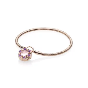 (afbeelding voor) Pandora Rose Moments Padlock Armband 587635NPM