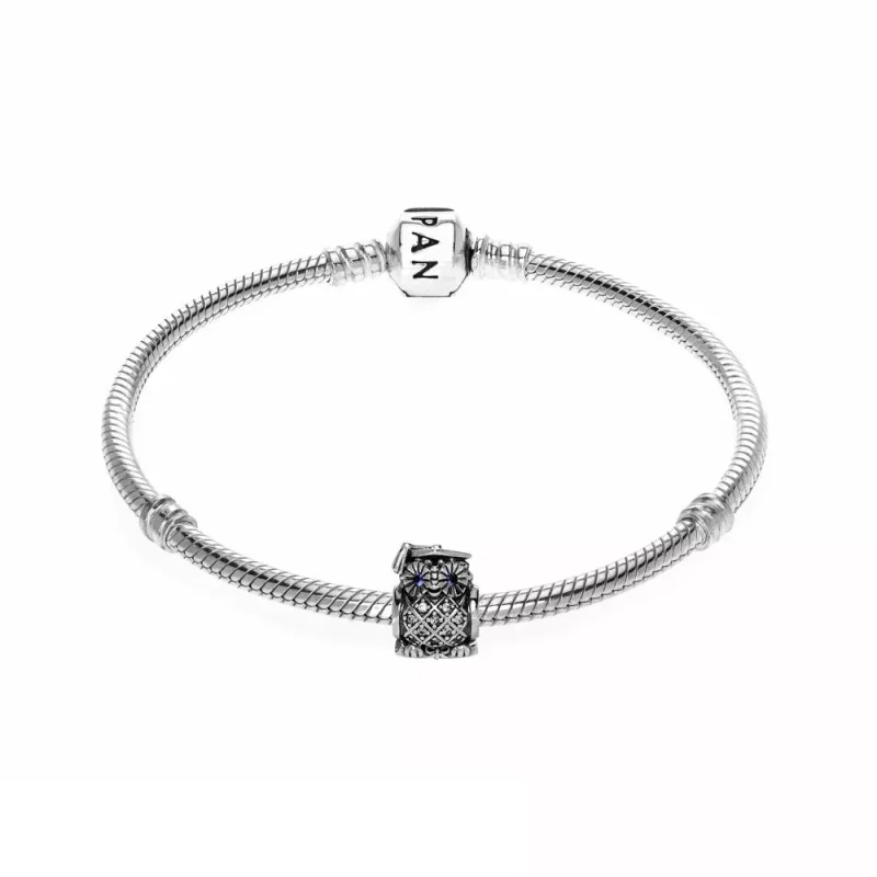 (afbeelding voor) Pandora Zilveren Diploma Uitreiking Armband 285279