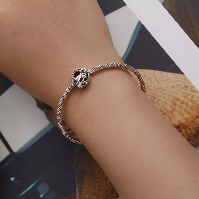 (afbeelding voor) Pandora Style Heks Bedel - SCC2405 - Bekijken 6