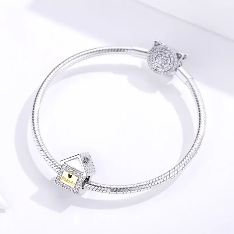 (afbeelding voor) Pandora Style Two-tone Voor altijd familie Bedel - SCC1330 - Bekijken 3