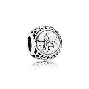 (afbeelding voor) PANDORA Aquarius Star Sign Bedel - 791934