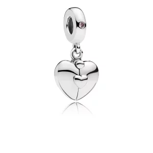 (afbeelding voor) PANDORA Family Medaillon Bedel 797615EN130