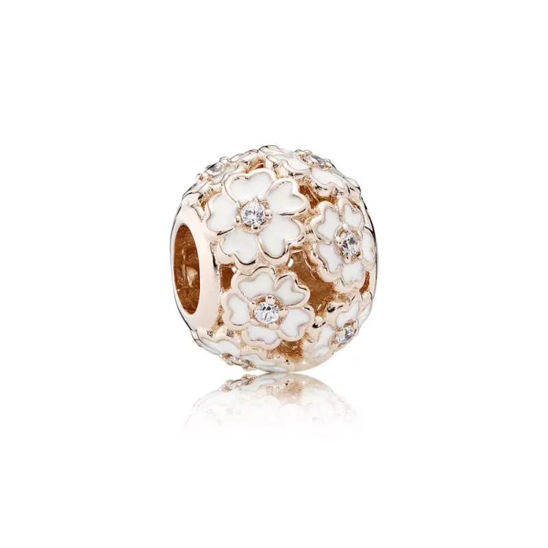 (afbeelding voor) Pandora Rose Bedel Met Primulas 781488EN12