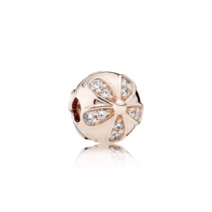 (afbeelding voor) Pandora Rose Clip 781493CZ