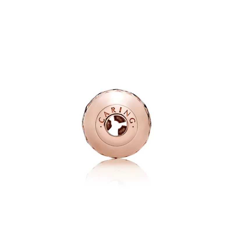 (afbeelding voor) Pandora Rose Essence Zorg Bedel 786203 - Bekijken 2