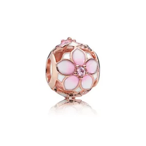 (afbeelding voor) Pandora Rose Magnolia Bloom Bedel 782087NBP