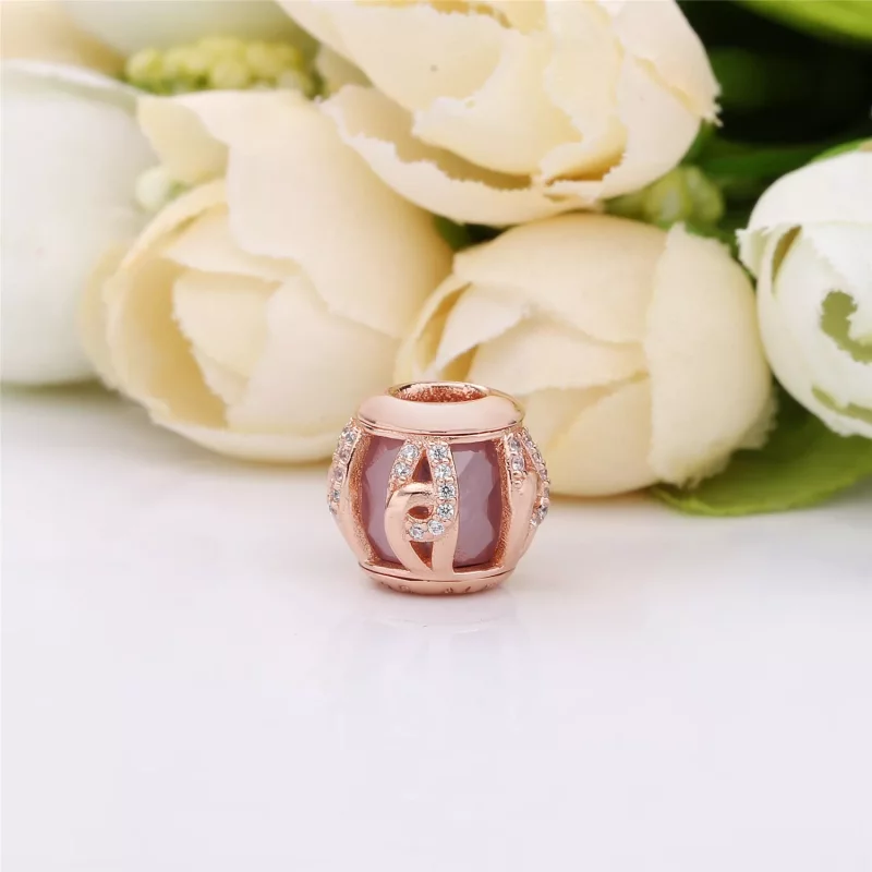 (afbeelding voor) Pandora Rose Ringen Van Liefde Bedel 787279Nbp - Bekijken 2
