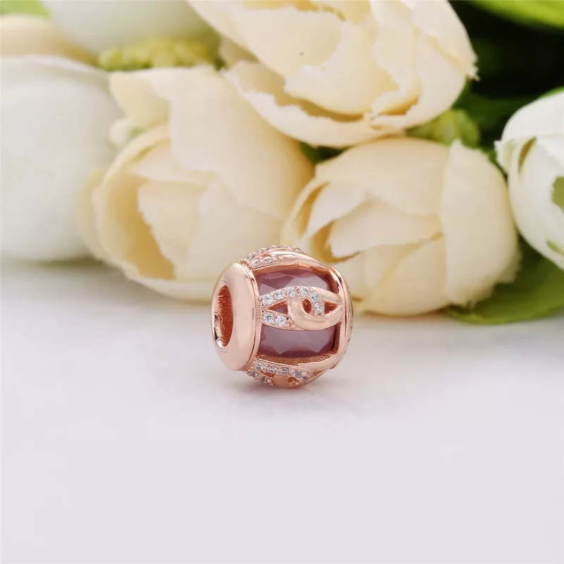 (afbeelding voor) Pandora Rose Ringen Van Liefde Bedel 787279Nbp - Bekijken 3