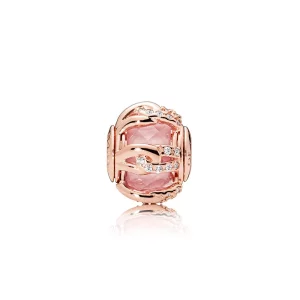 (afbeelding voor) Pandora Rose Ringen Van Liefde Bedel 787279Nbp