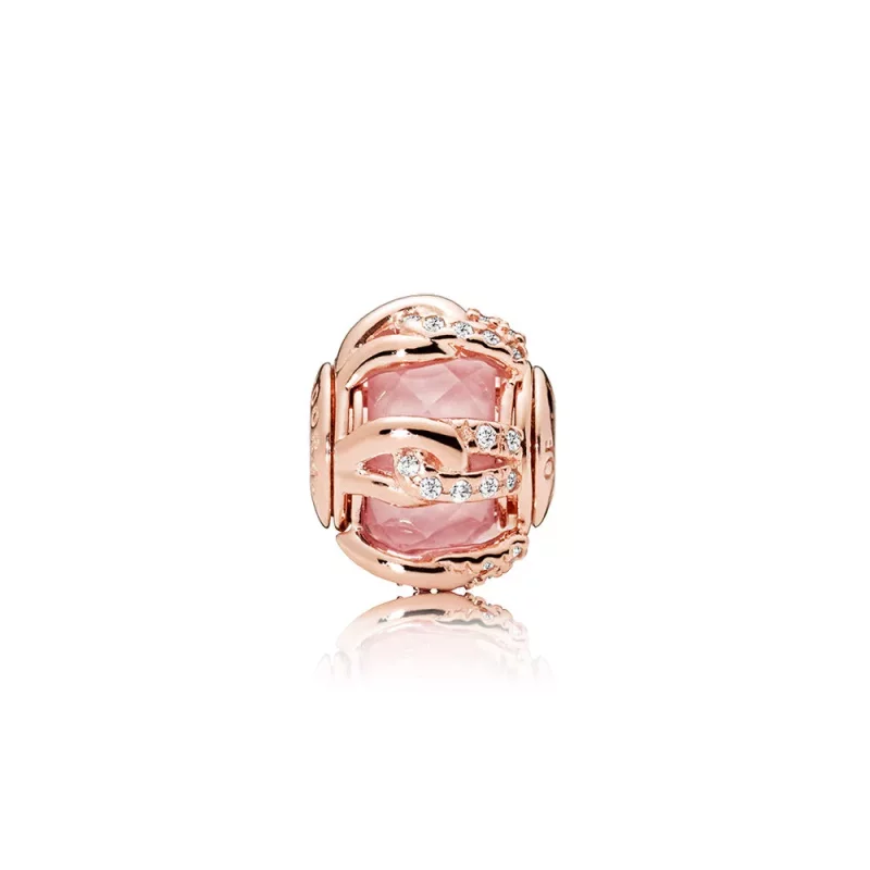 (afbeelding voor) Pandora Rose Ringen Van Liefde Bedel 787279Nbp