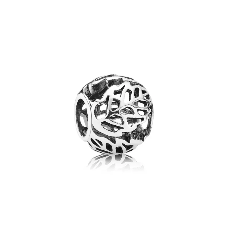 (afbeelding voor) Pandora Zilveren Autumn Bliss Bedel 791190