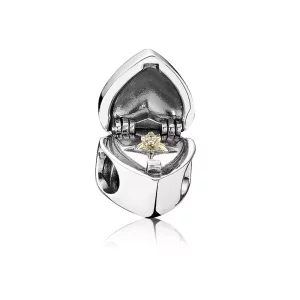 (afbeelding voor) Pandora Zilveren Gift Van Het Hart Bedel 791247CZ