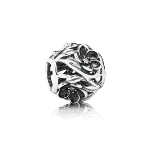 (afbeelding voor) Pandora Zilveren Mystieke Bloemen Bedel 791409CZ