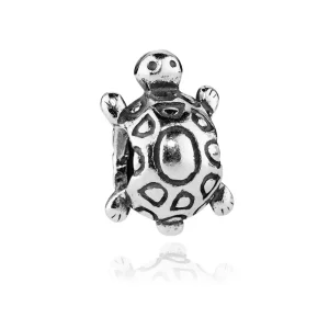 (afbeelding voor) Pandora Zilveren Schildpad Bedel 790158
