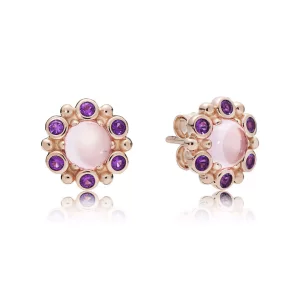 (afbeelding voor) Pandora Rose Heraldische Uitstraling Oorbellen 287728Npm