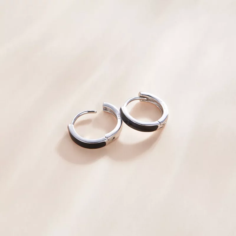 (afbeelding voor) Pandora Style Anti allergie Oorringen - SCE1047 - Bekijken 3