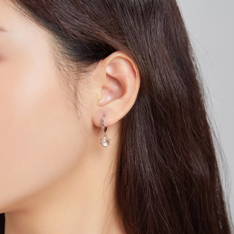 (afbeelding voor) Pandora Style Cz Oorhangers - SCE1020-CG - Bekijken 4