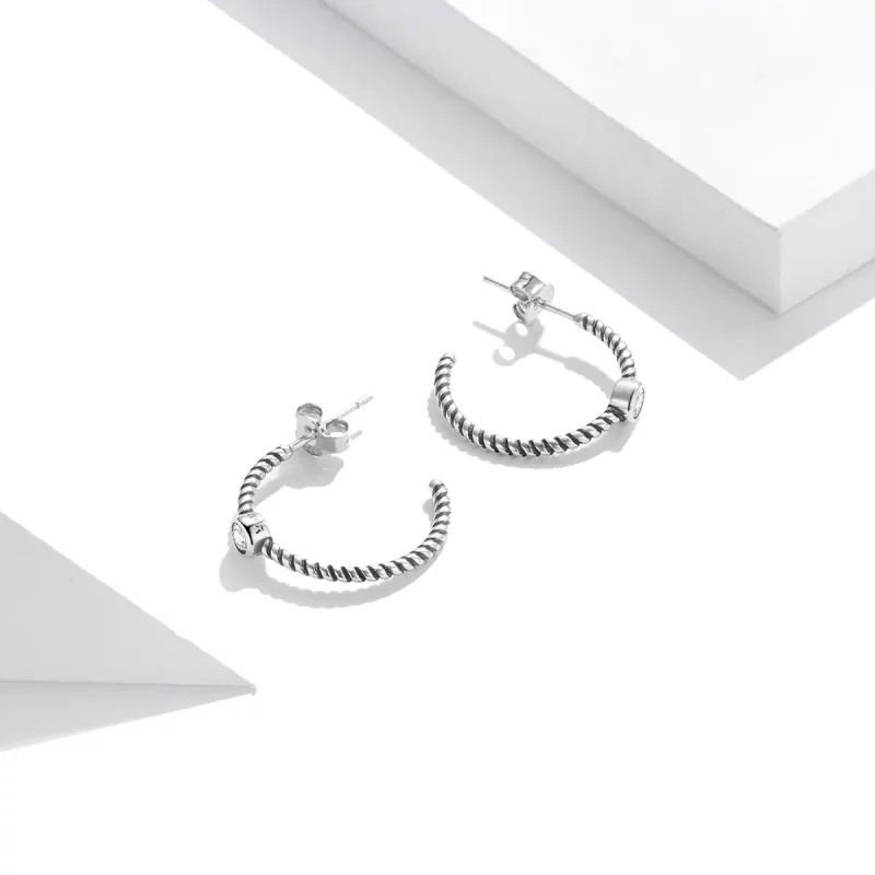 (afbeelding voor) Pandora Style Eenvoudig Oorknopjes - SCE1122 - Bekijken 4