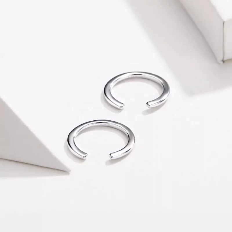 (afbeelding voor) Pandora Style Eenvoudig Oorringen - SCE647 - Bekijken 4